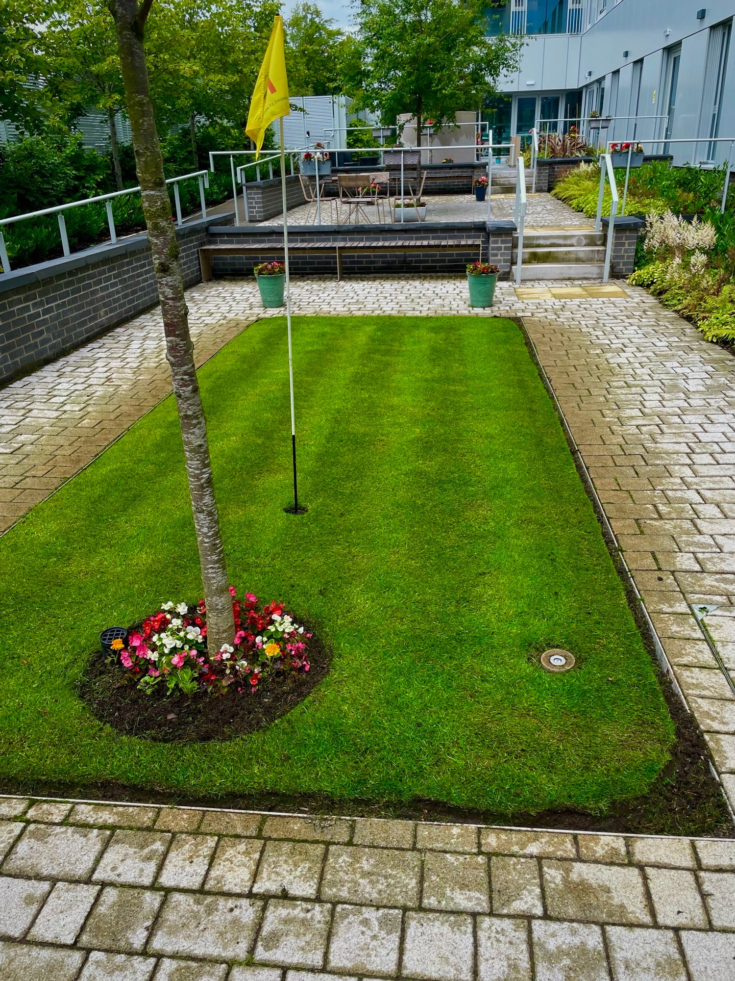 From Hospital Halls to Lovely Lawns: Stuart's Journey of Passion and Dedication
