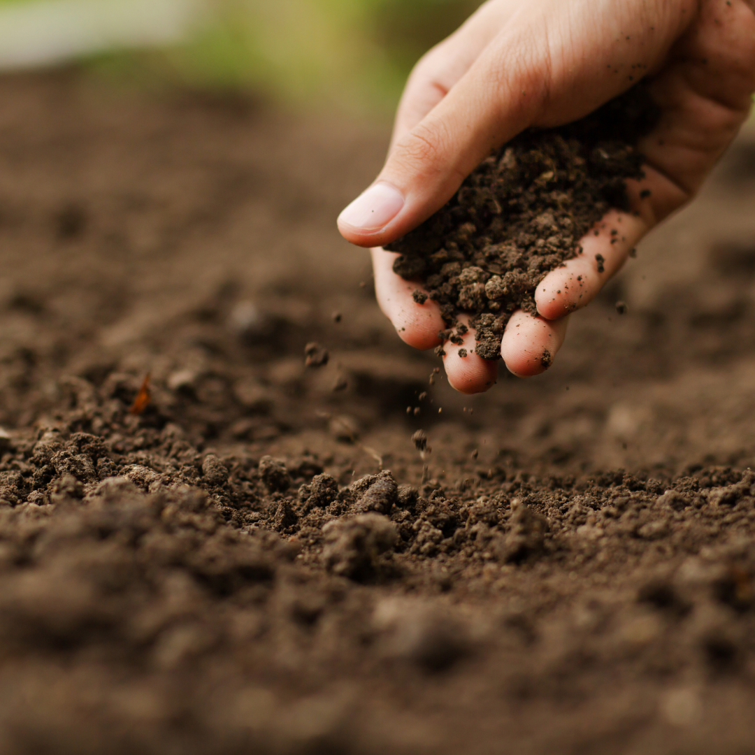 Mastering UK Lawn Soil Types