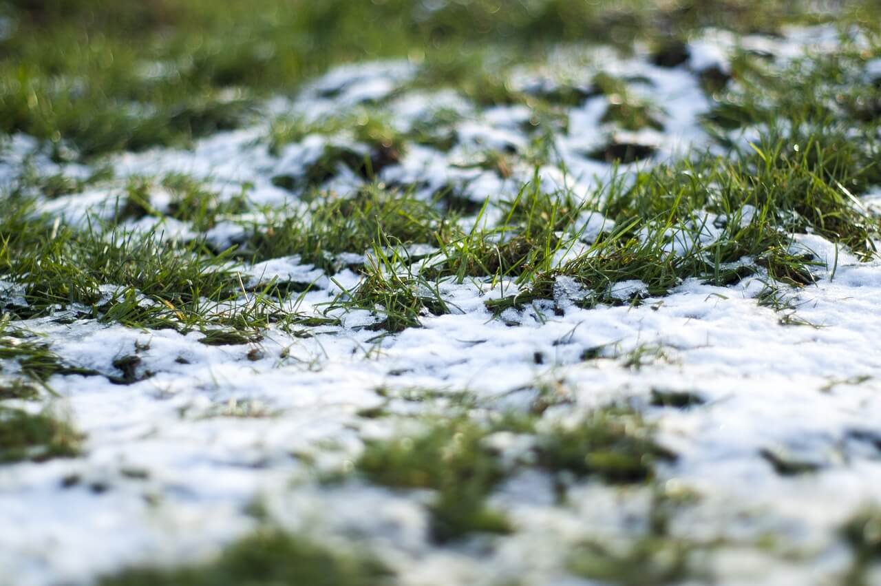 Winter lawn - Snow and your lawn