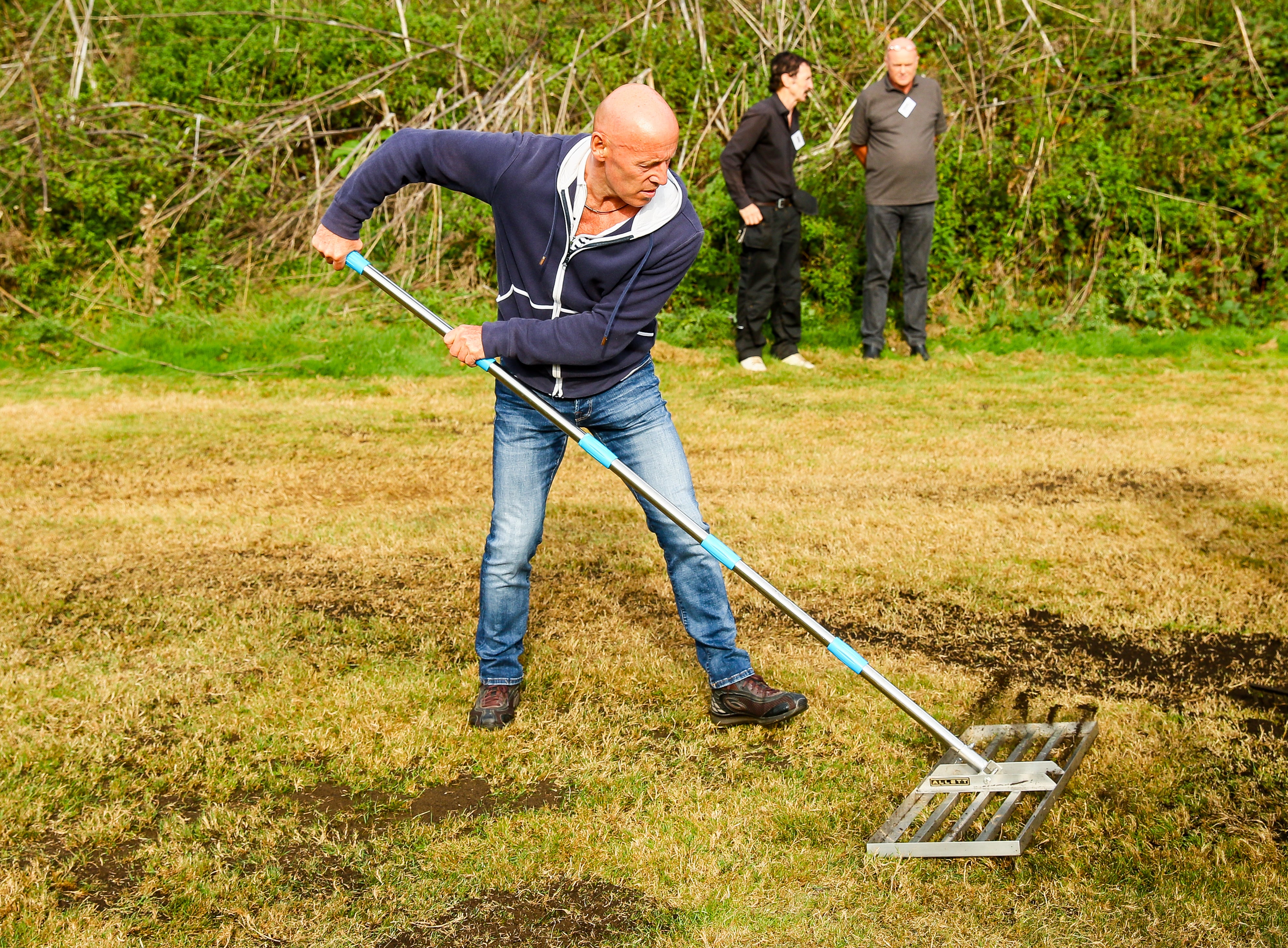 Allett Lawn Levelling Lute