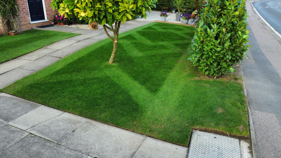 The Surprising Mental and Physical Benefits of Lawncare