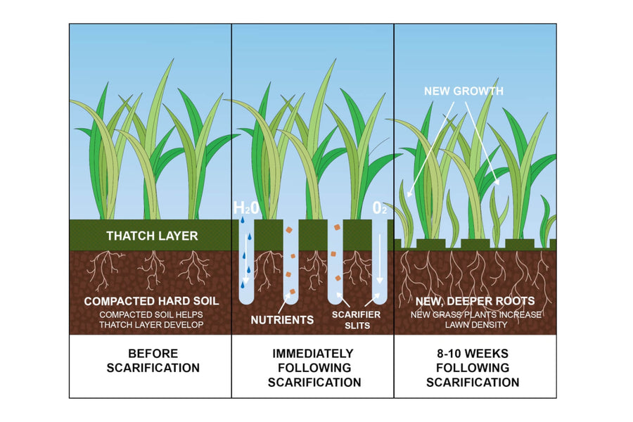 Allett's Top 5 Tips For Lawn and Garden Month