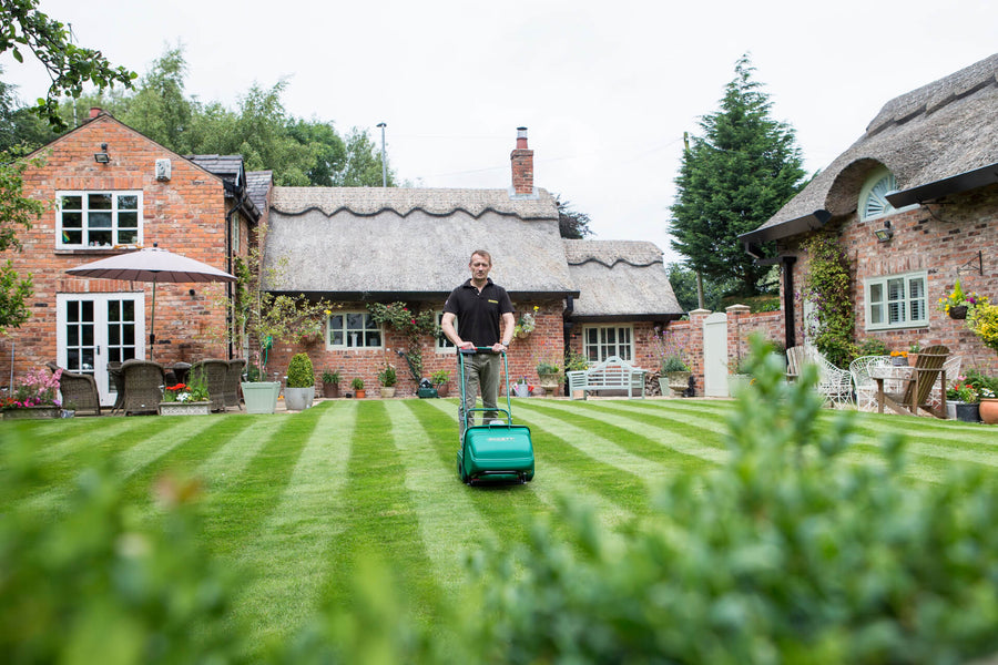 National Lawn and Garden Month - Top 5 Tips For Your Lawn