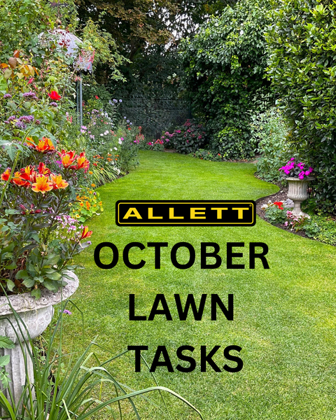 Lawn Care in the UK: Essential Tasks for October