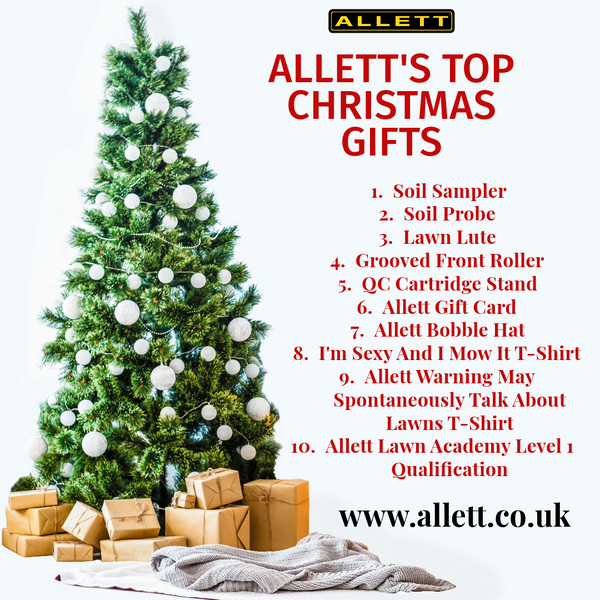 The Top 10 Affordable Allett Gifts This Christmas