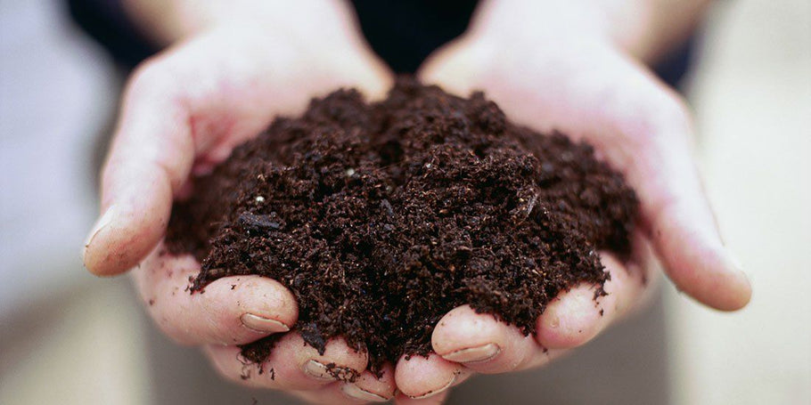 Soil PH - Why Is It Important In Your Lawn And How Can You Check It?