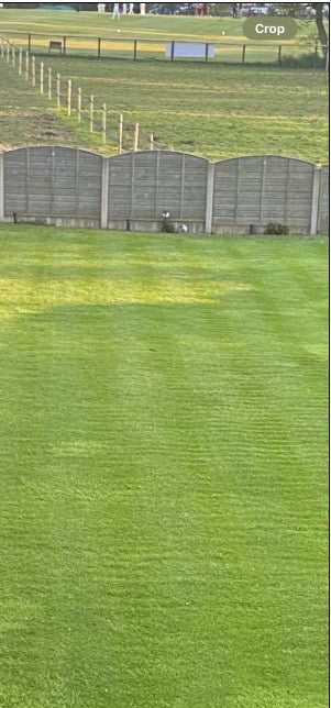 Why Am I Getting A Rippled Effect In My Lawn?