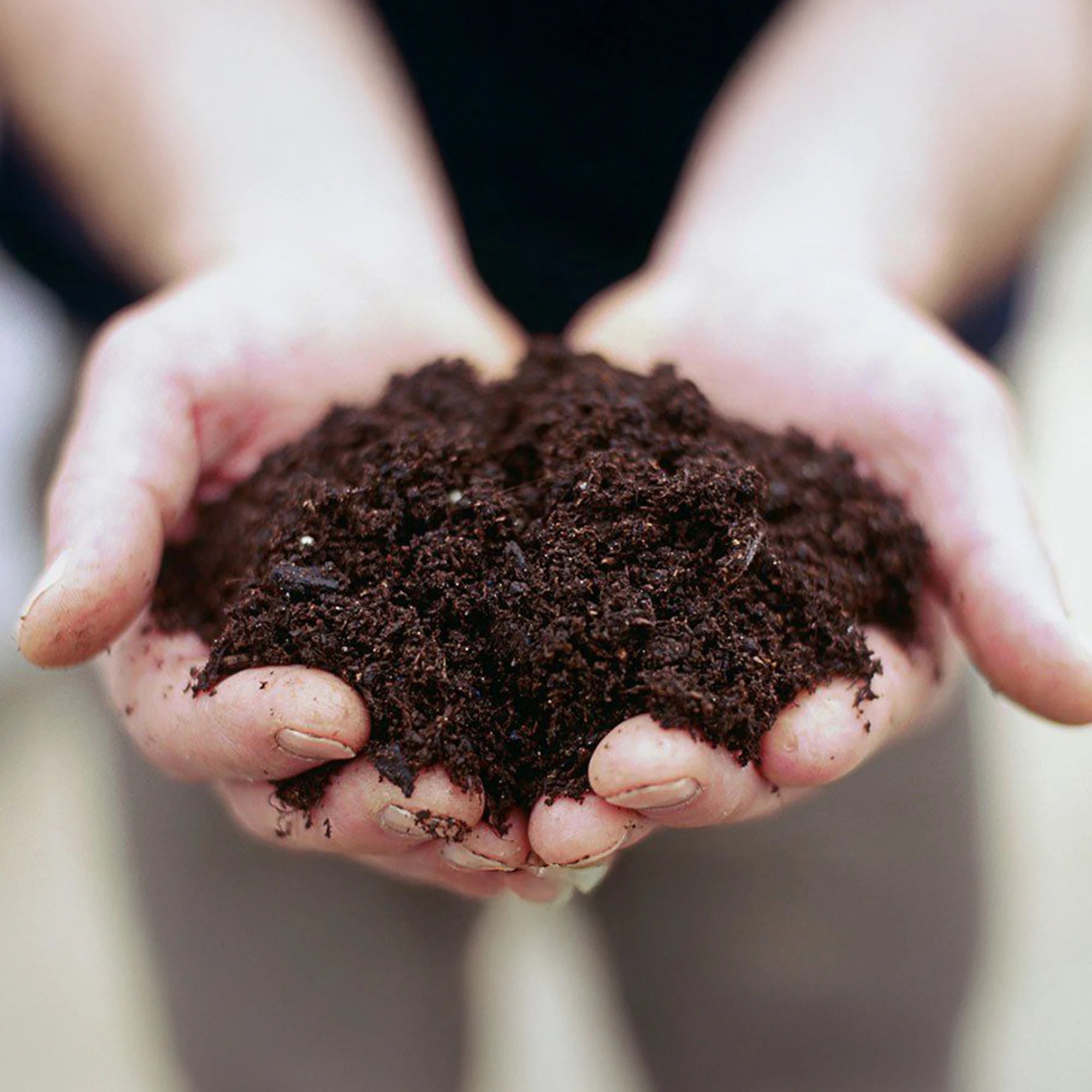 Allett Soil Test and Results